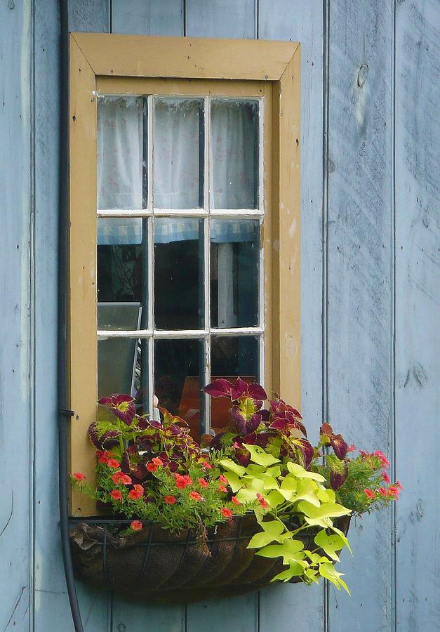 Window Flower Basket Photograph by Lori Seaman
