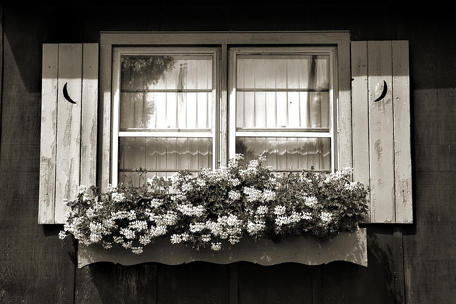 Window Flower Box 2 Photograph by Joanne Coyle