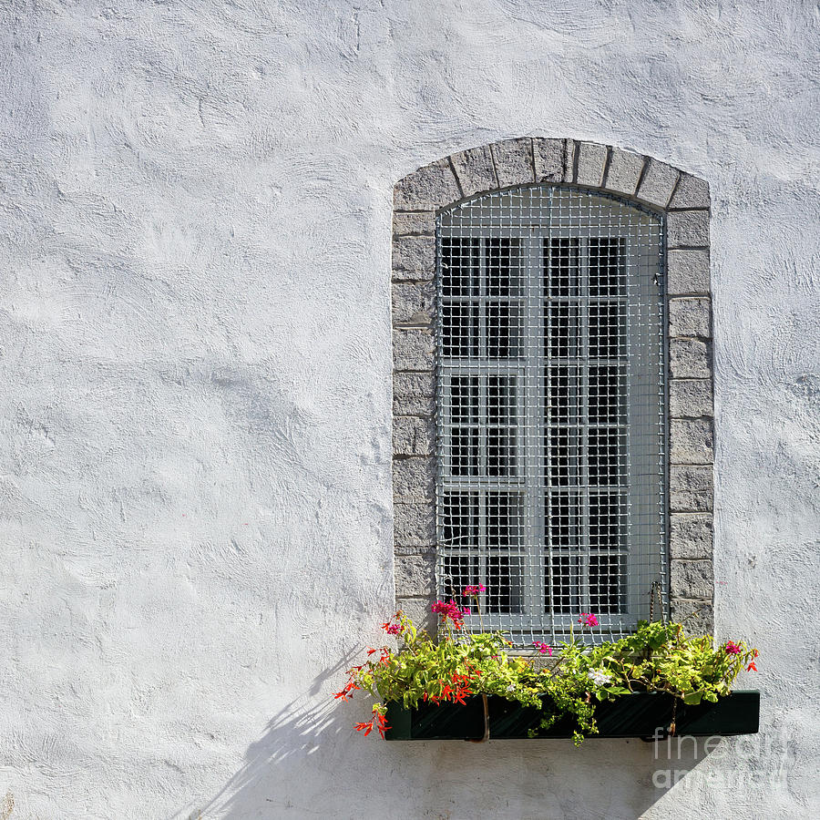Window Flower Box Photograph by Doug Sturgess