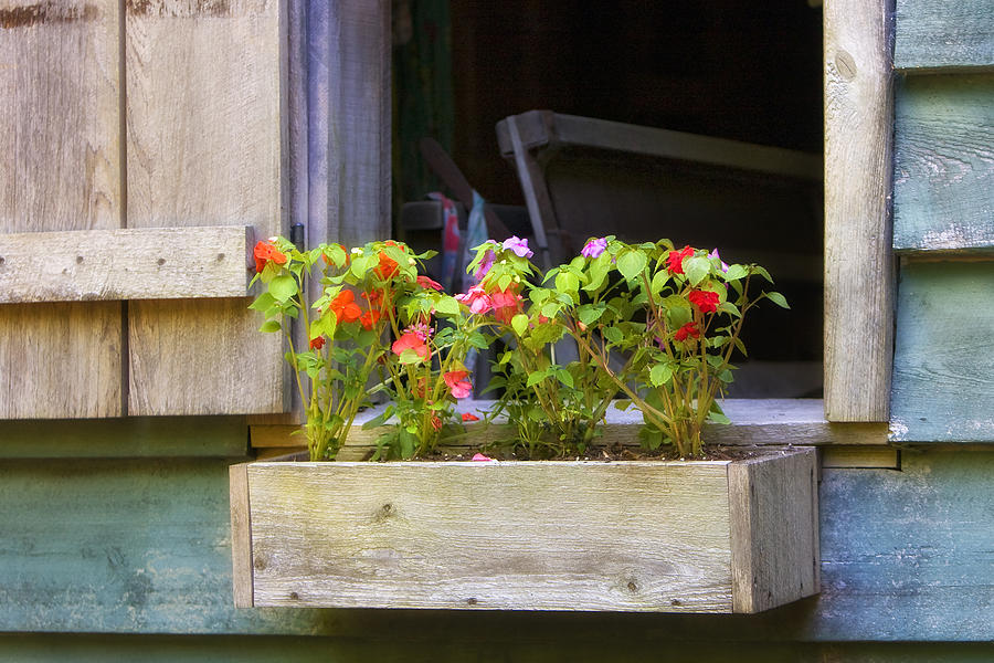 Window Flower Box Photograph - Window Flower Box by Ken Barrett