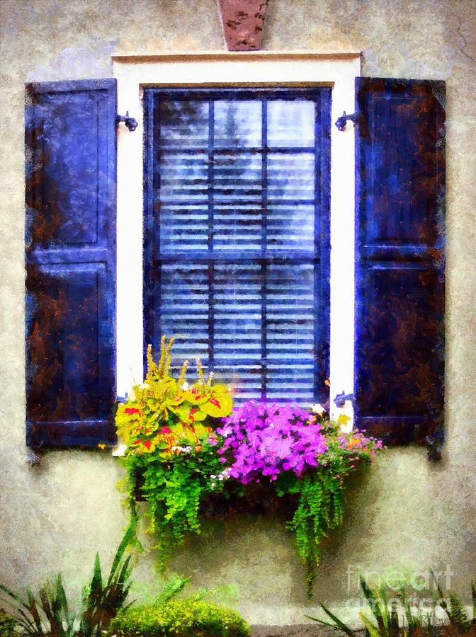Window Flower box view Photograph by Janine Riley