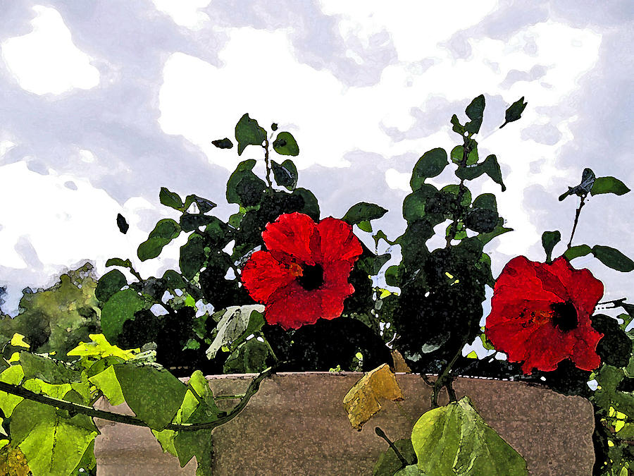 Window Flowers Digital Art by James Granberry