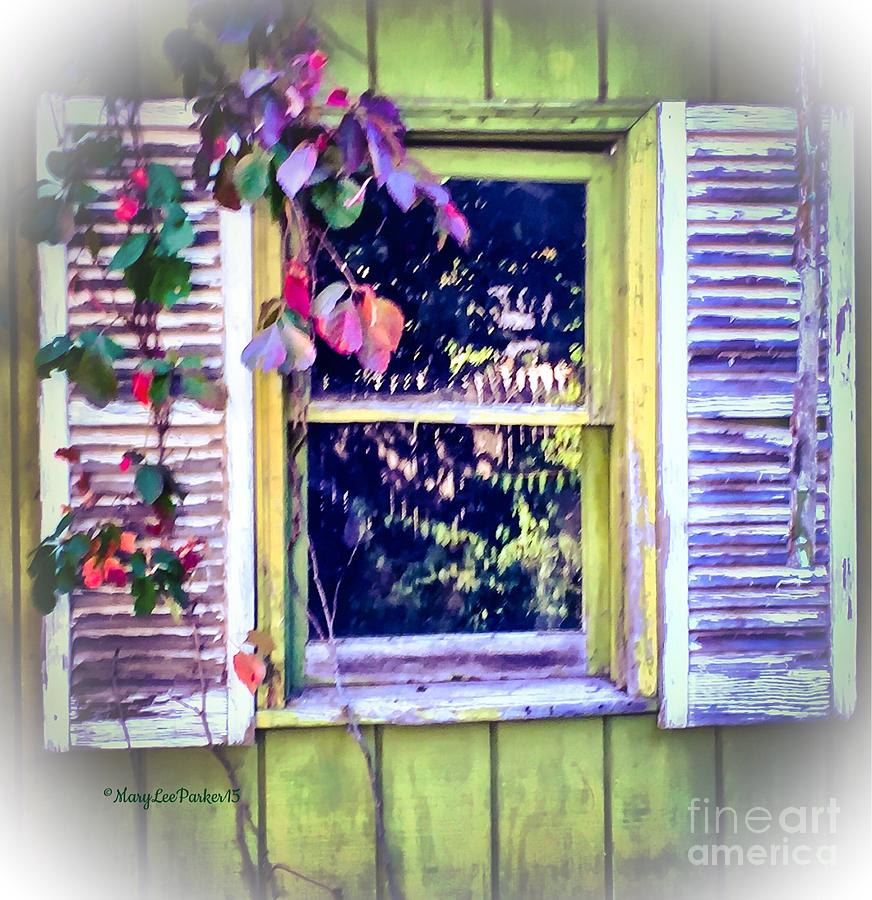 Window From The Past Photograph by MaryLee Parker