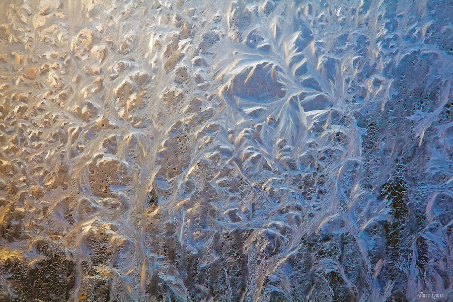 Window Frost 2 Photograph by Anna Louise