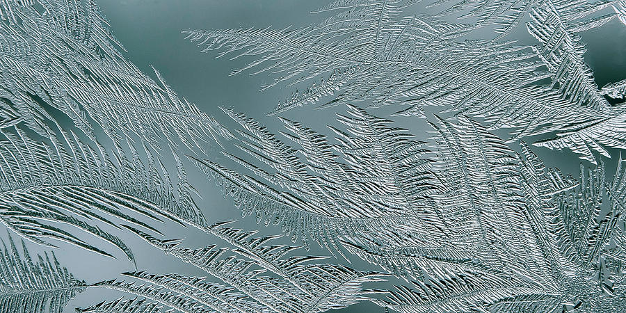 Window Frost Abstract - 297 Photograph by Rick Shea