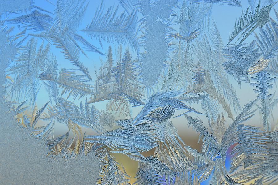 Window Frost  Digital Art by Lyle Crump