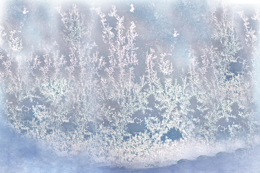 Window Frost Print Photograph by Gwen Gibson