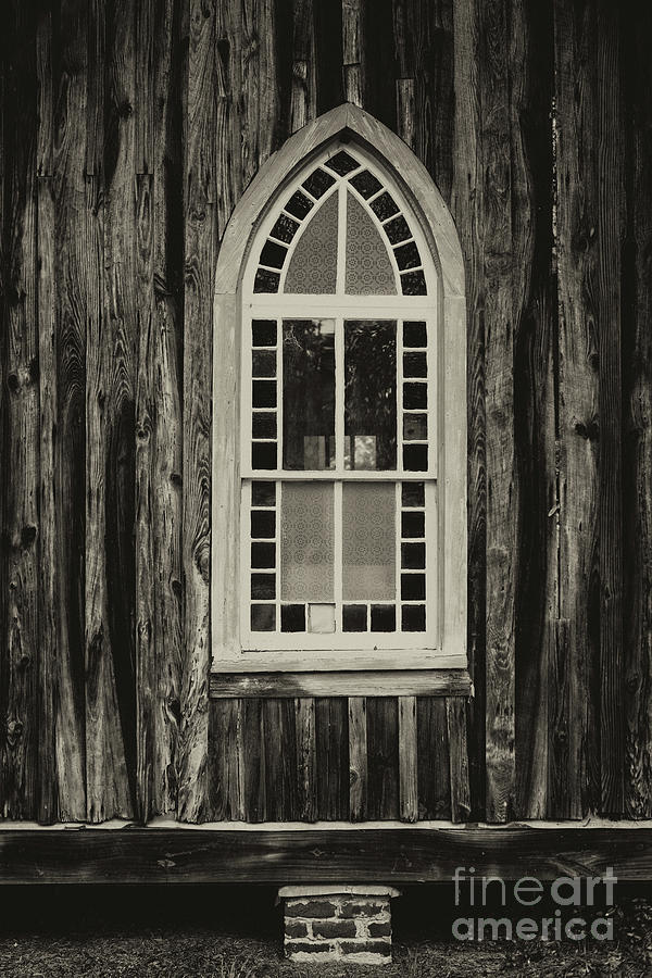 Window Gazing Photograph by Dale Powell