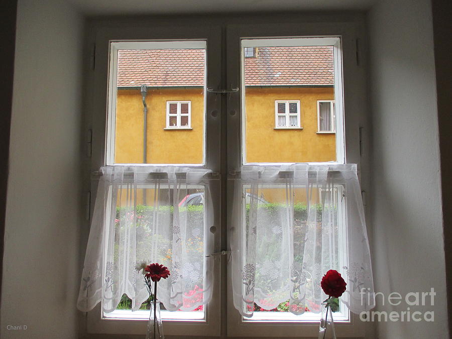 Window in Augsburg Photograph by Chani Demuijlder