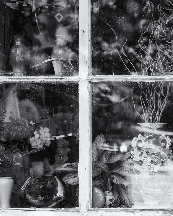 Window In Black and White Photograph by Tom Singleton