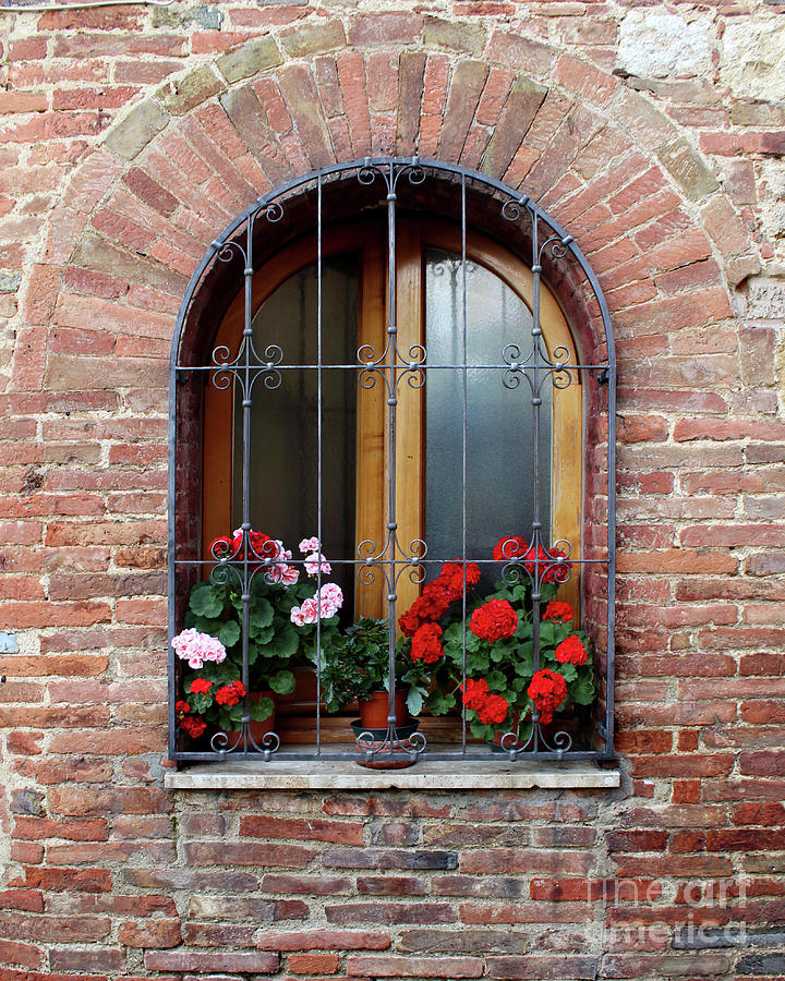 Window in Pienza Photograph by Adam Long