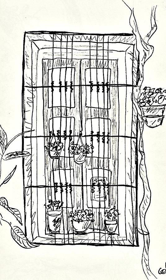 Window in the old center of Lanjaron Drawing by Chani Demuijlder