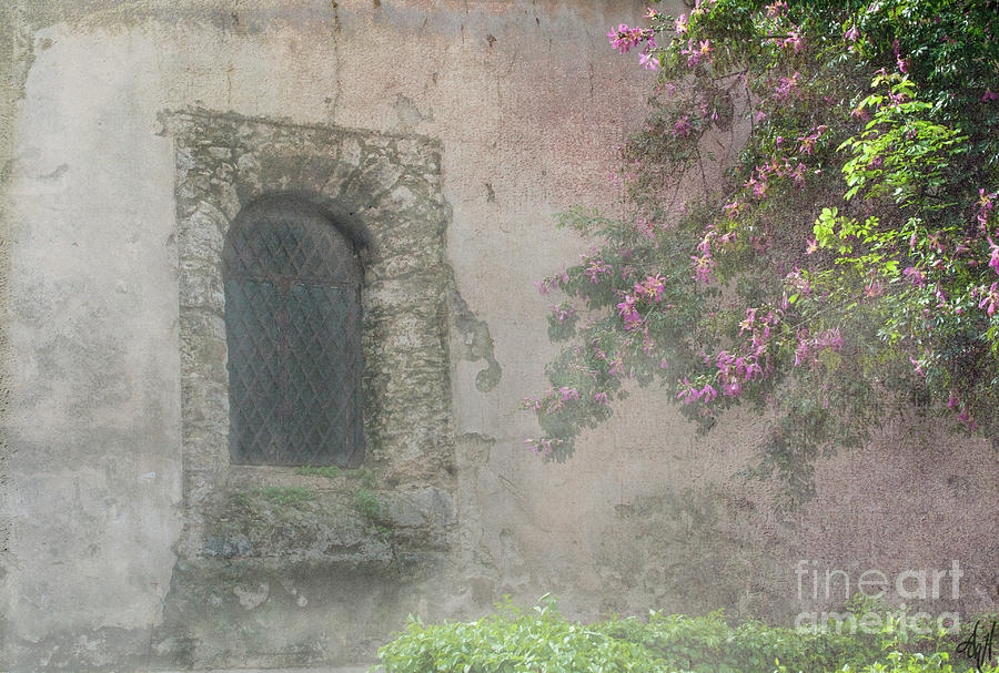 Window in the Wall Photograph by Victoria Harrington