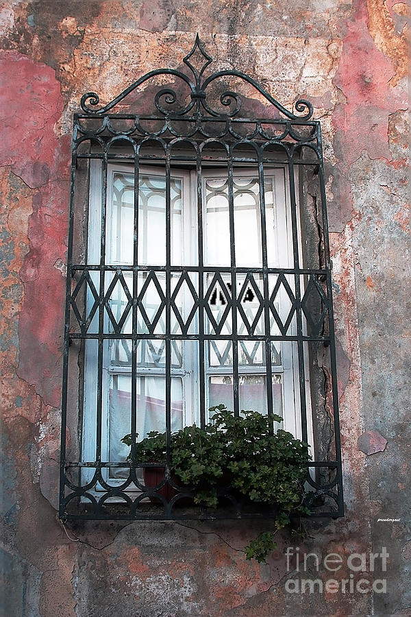 Window in Tuscany Photograph by Tom Prendergast