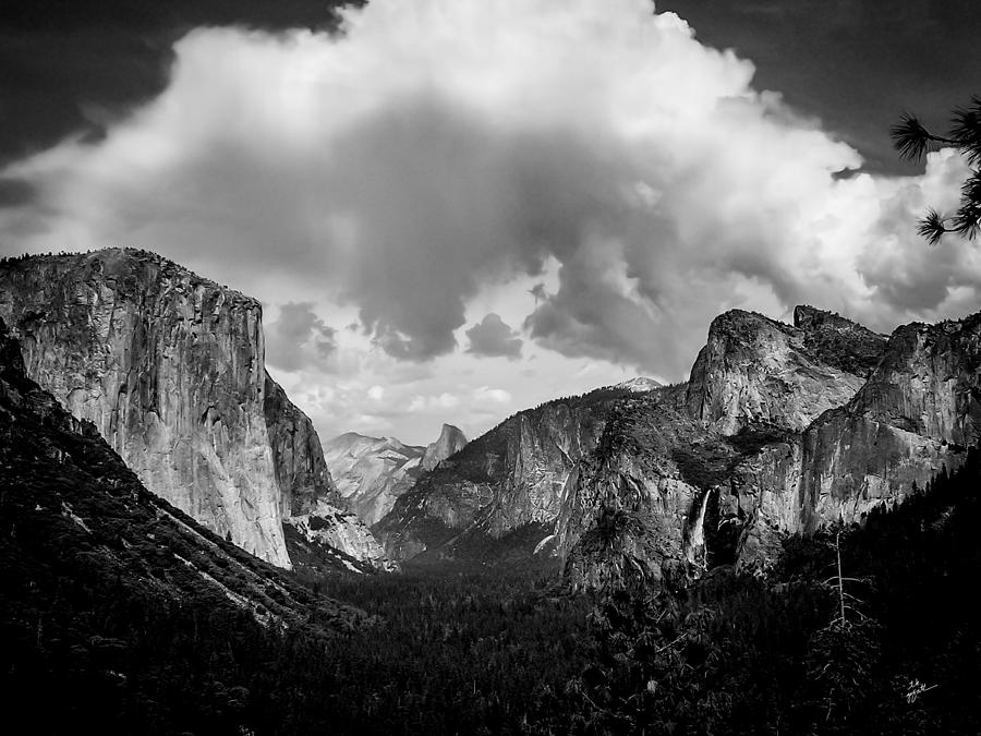 Window Into Yosemite Photograph by TK Goforth