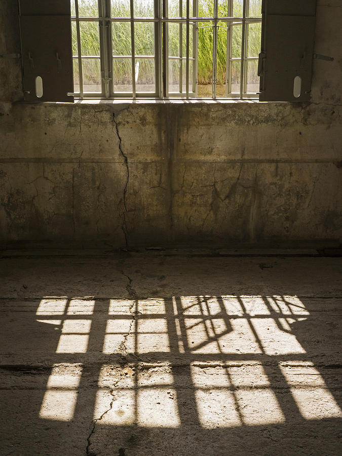 Window light and shadow Photograph by Inge Riis McDonald