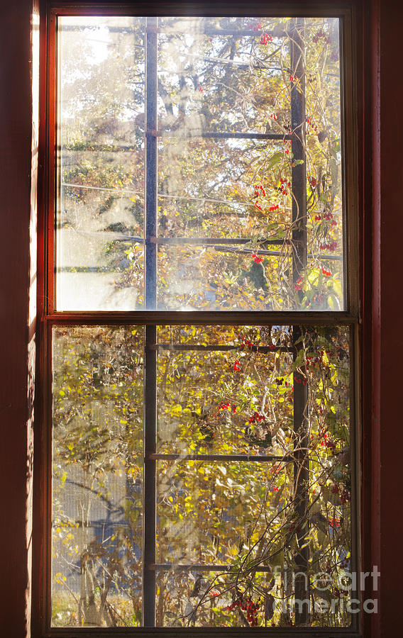 Window Light Photograph by Jonathan Welch