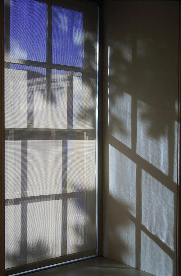 Abstract Photograph - Window Lines by Cora Wandel
