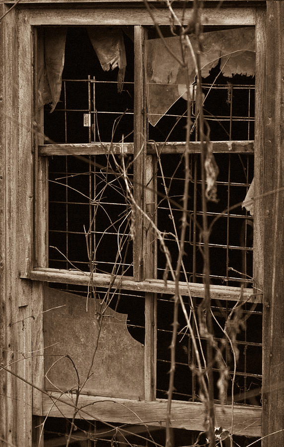 Window of a Forgotten Mystery Photograph by Douglas Barnett
