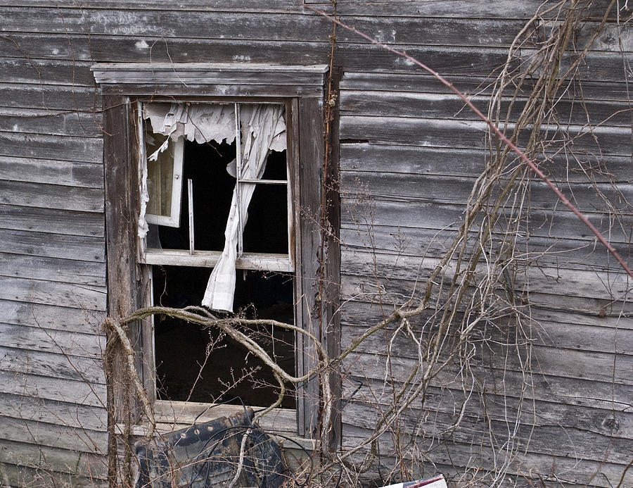 Window of Loneliness Photograph by Douglas Barnett