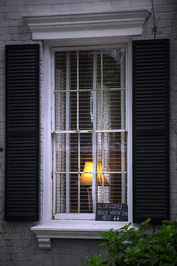 Window Of The Black Widow Photograph