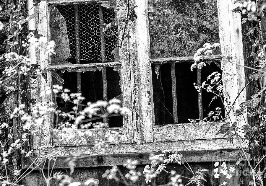 Window of Time Photograph by Rene Triay FineArt Photos