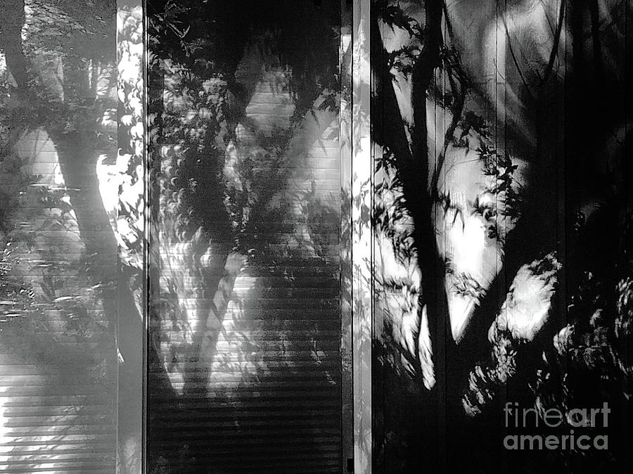Black And White Photograph - Window of Wonder by Lauren Leigh Hunter Fine Art Photography