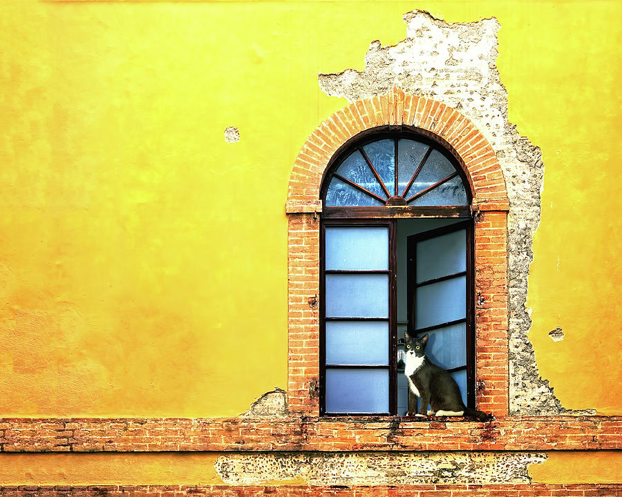 Window On Colorful Wall In Siena Italy Photograph
