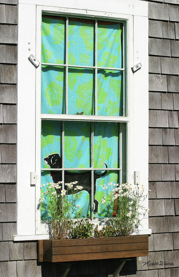 Window on Marthas Vineyard Island Massachusetts Photograph by Michelle Constantine