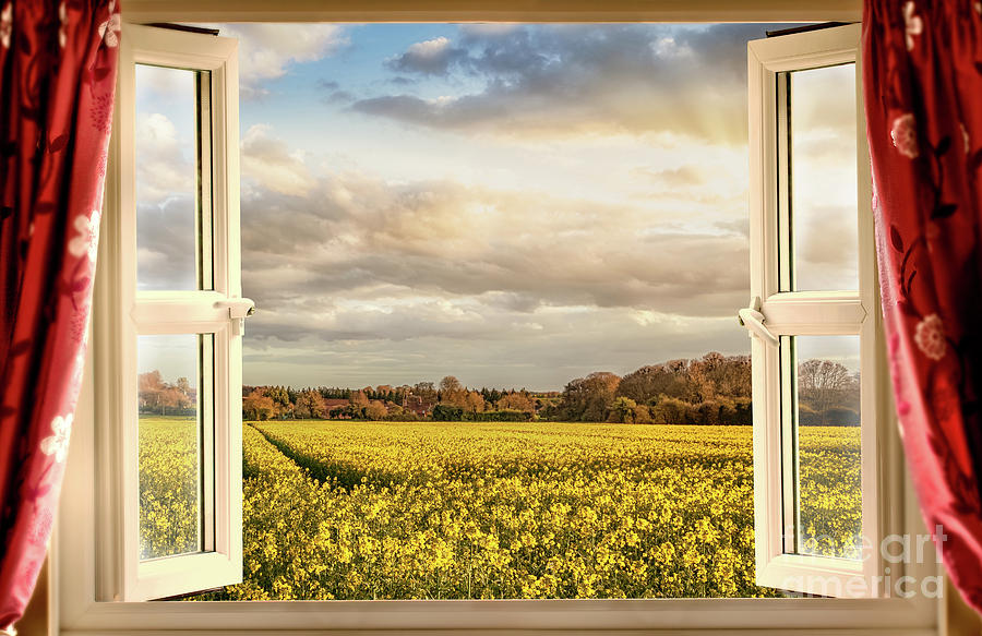 Window open with a view onto farm crops Digital Art by Simon Bratt