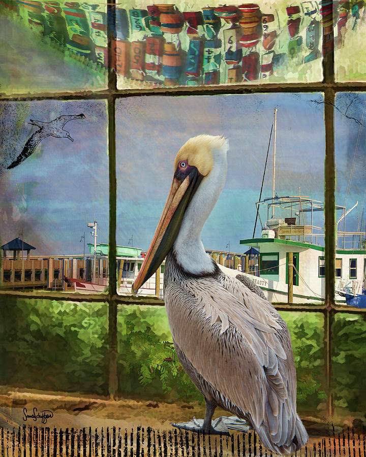 Window Pelican Digital Art by Sandra Schiffner