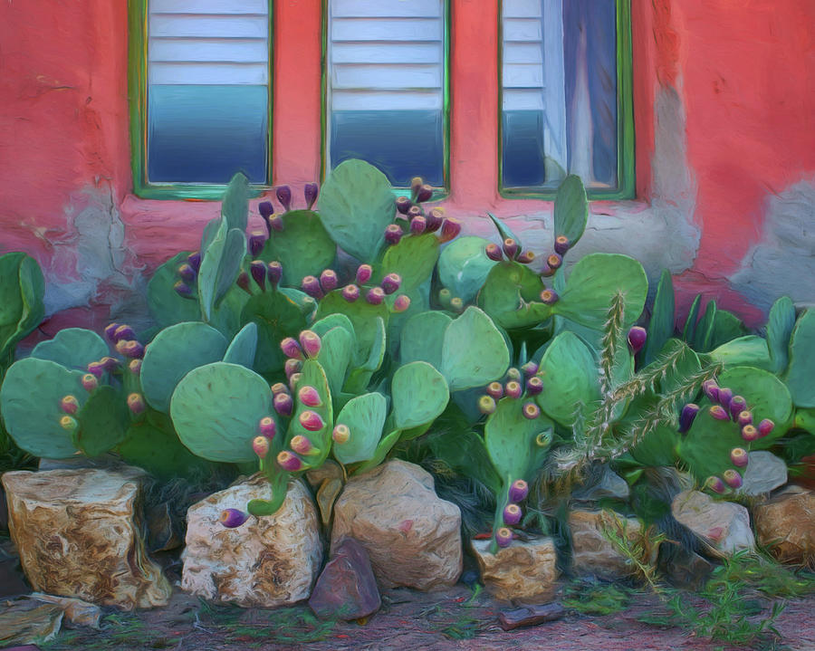 Window - Prickly Pear Photograph by Nikolyn McDonald