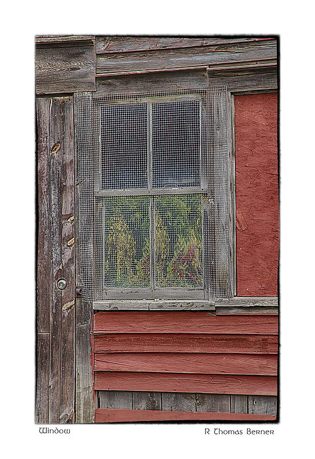 Window  Photograph by R Thomas Berner