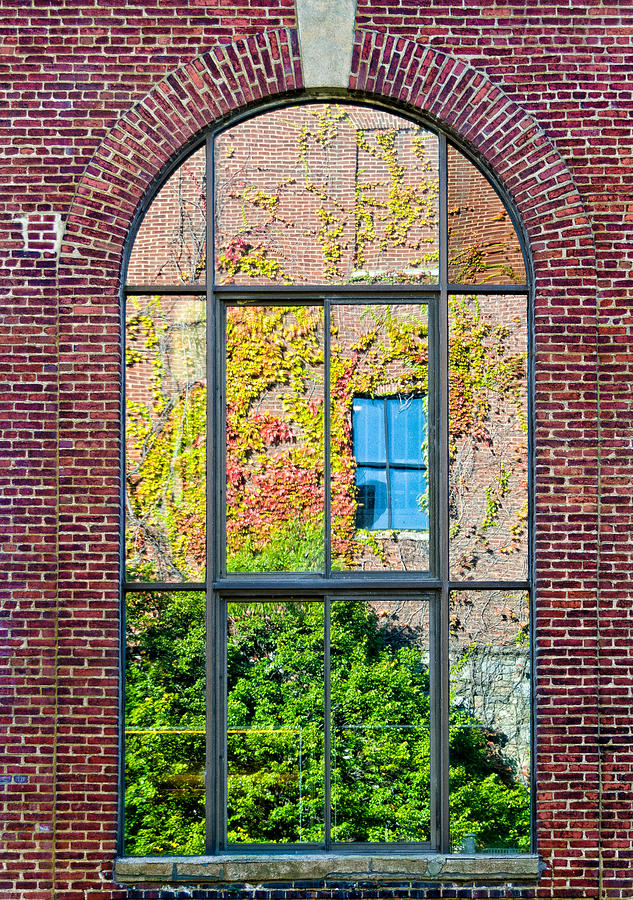 Window Reflection Photograph by Georgette Grossman