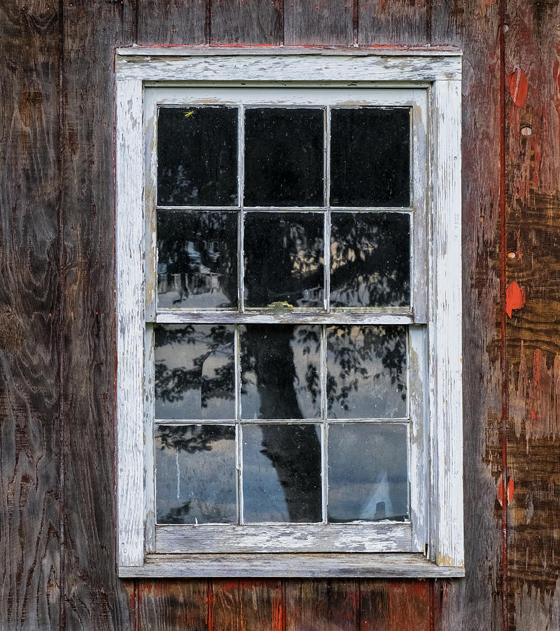 Window Reflection Photograph by Tom Singleton