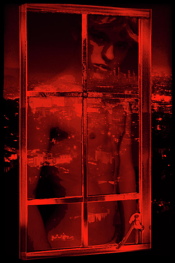 Window Shade 2/10 by John Waiblinger Window Shade 2/10 by John Waiblinger