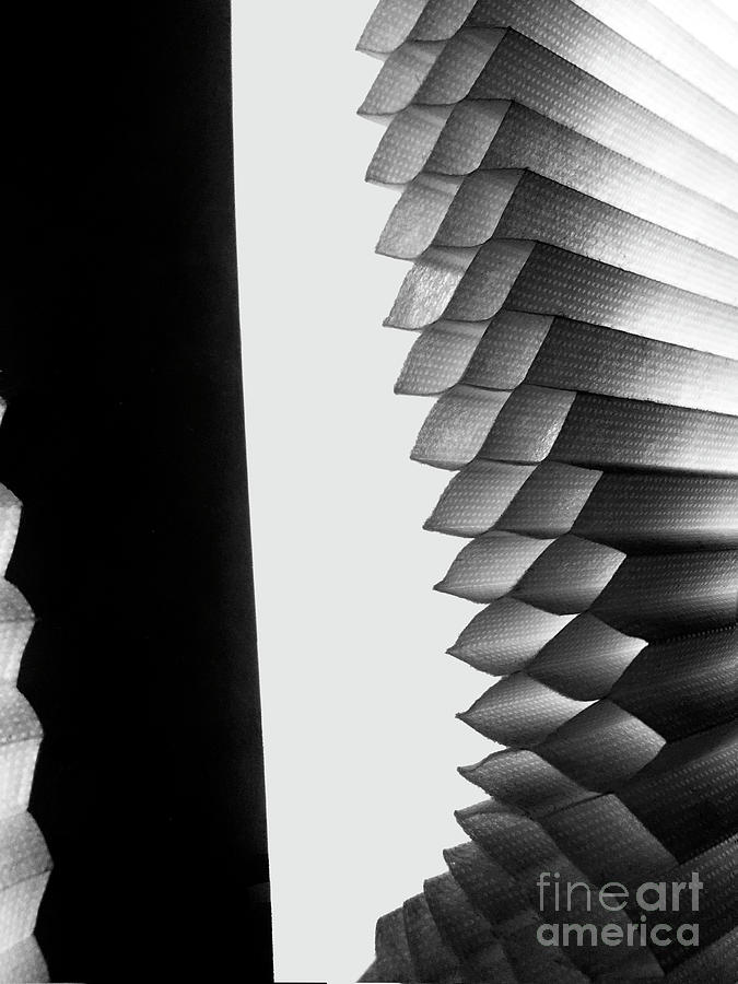 Window Shade 2 by Frank Merrem Window Shade 2 by Frank Merrem
