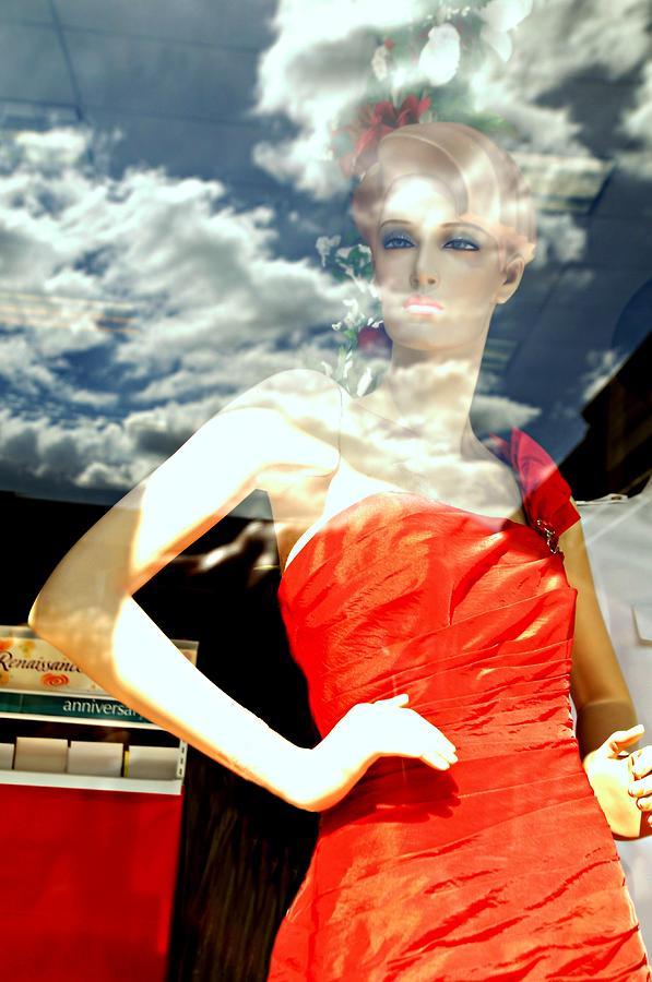 Window Shopping Photograph by Diana Angstadt