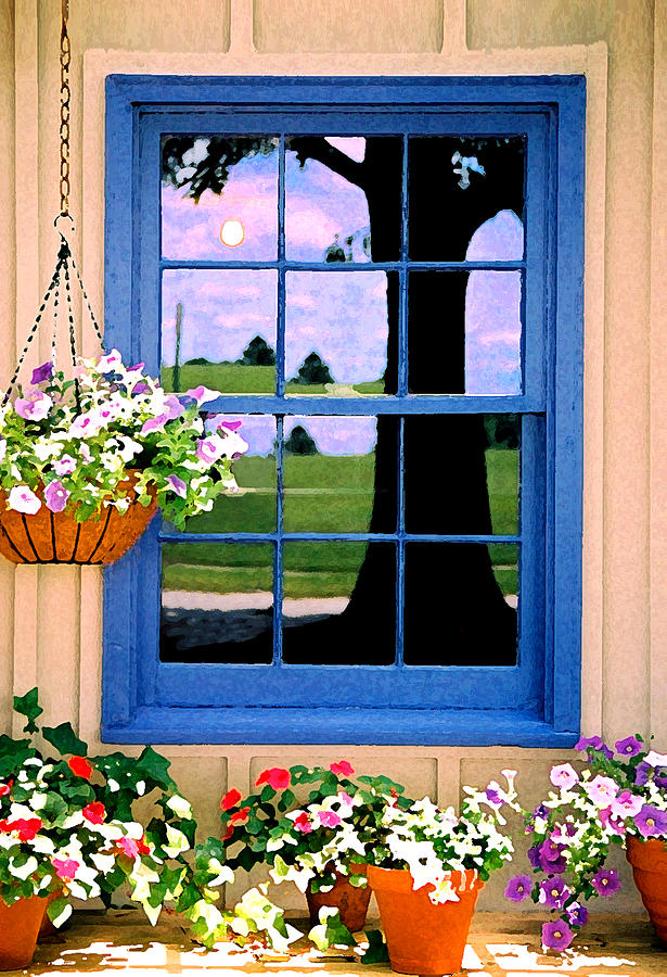 Window Photograph