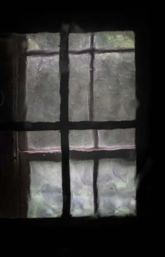 Window Through a Window Photograph by Tom Singleton
