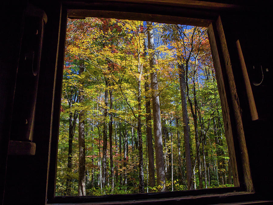 Window to Autumn Photograph by Kevin Craft