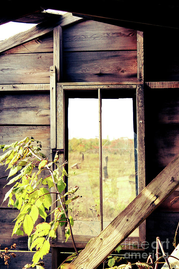 Window to Autumn Photograph by Nikki Vig