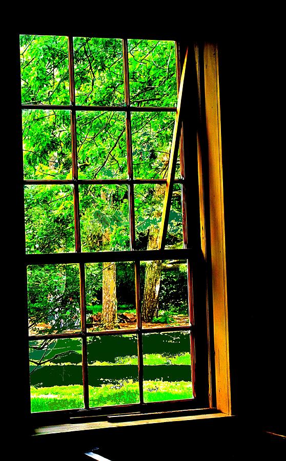 Window To My World Photograph by Ian  MacDonald