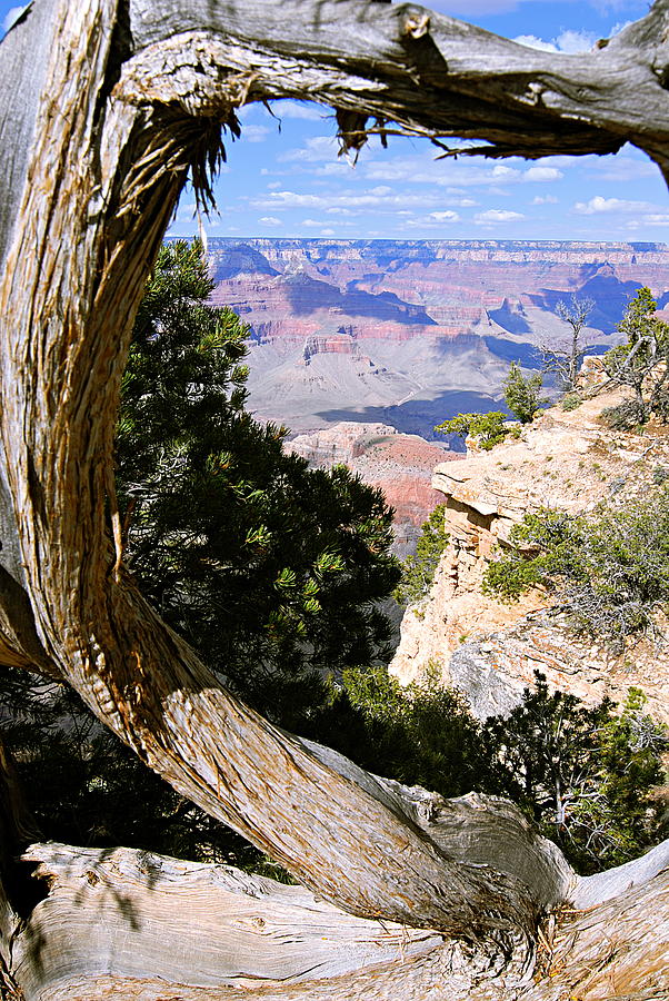 Window to the Past 21 - Grand Canyon Photograph by Larry Ricker