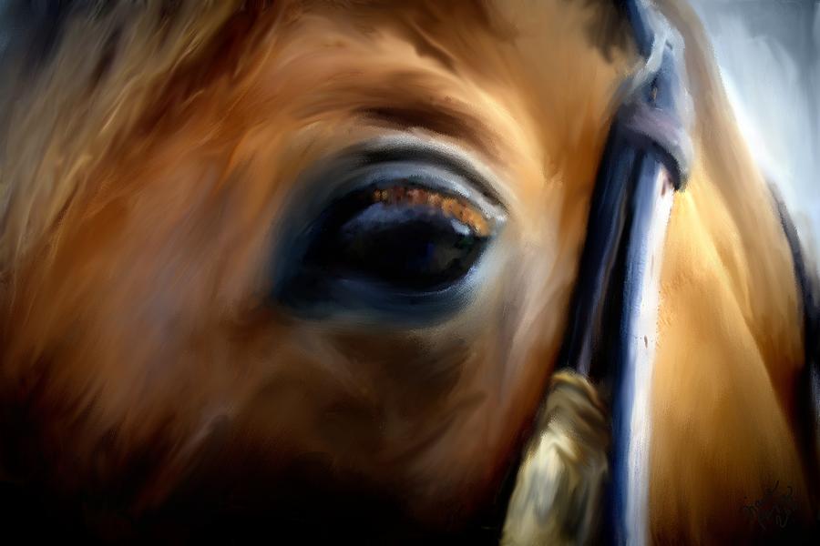 Horse Photograph - Window to the Soul by Diane Payne