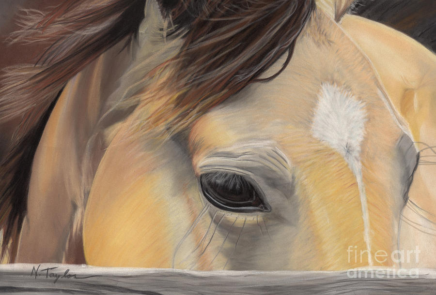 Window to the Soul Pastel by Nichole Taylor