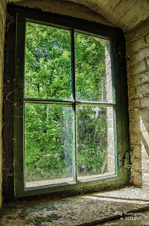 Window to the Woods Photograph by Peg Runyan