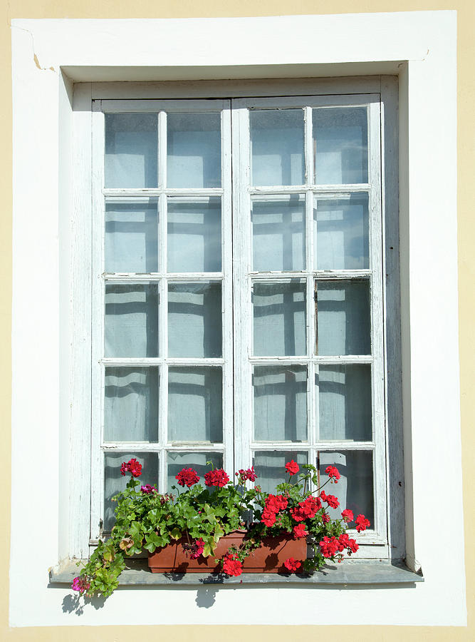 Window With Flowers Photograph by Ramunas Bruzas