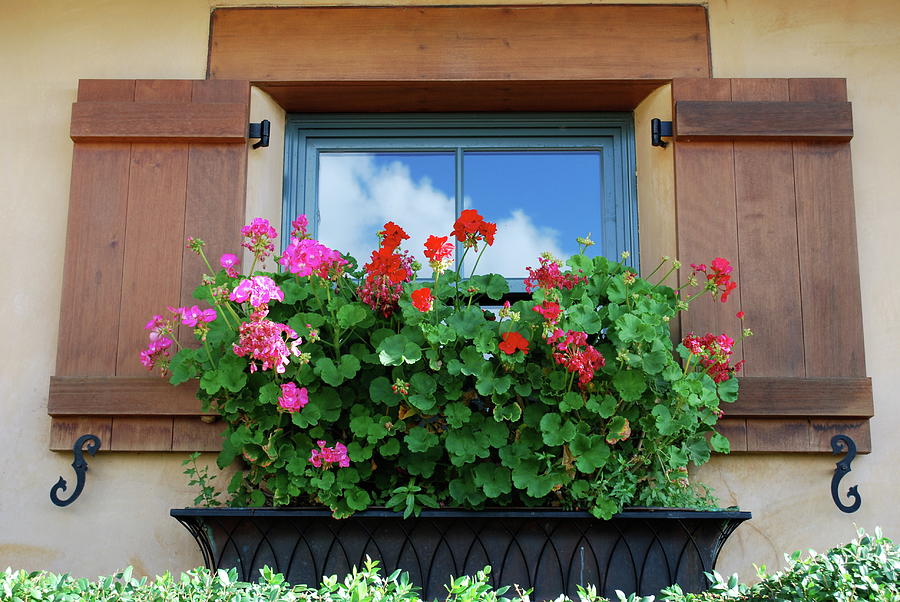 Window Photograph - Window with Geraniums by Dorota Nowak