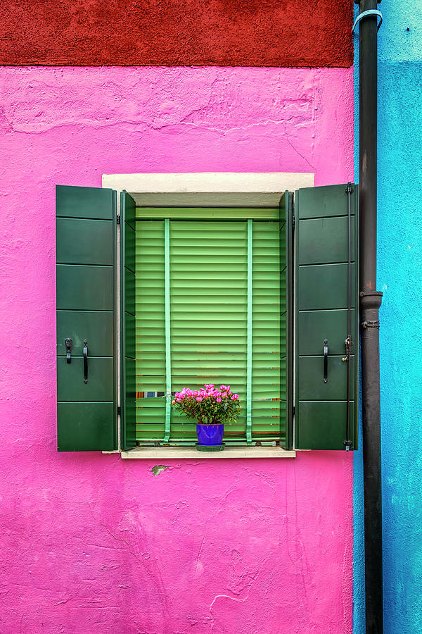 Window with Plant Burano_DSC5661_03072017 Photograph by Greg Kluempers